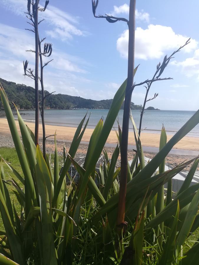 桑树林休闲住宿加早餐旅馆 Tryphena 外观 照片